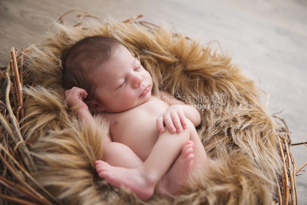Portafolio Fotos de recién nacidos CO7B0790-1024x683 