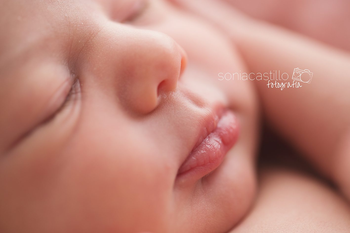 Portafolio Fotos de recién nacidos IMG_0667 