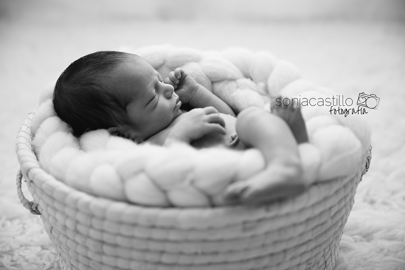 Portafolio Fotos de recién nacidos byn-8253 