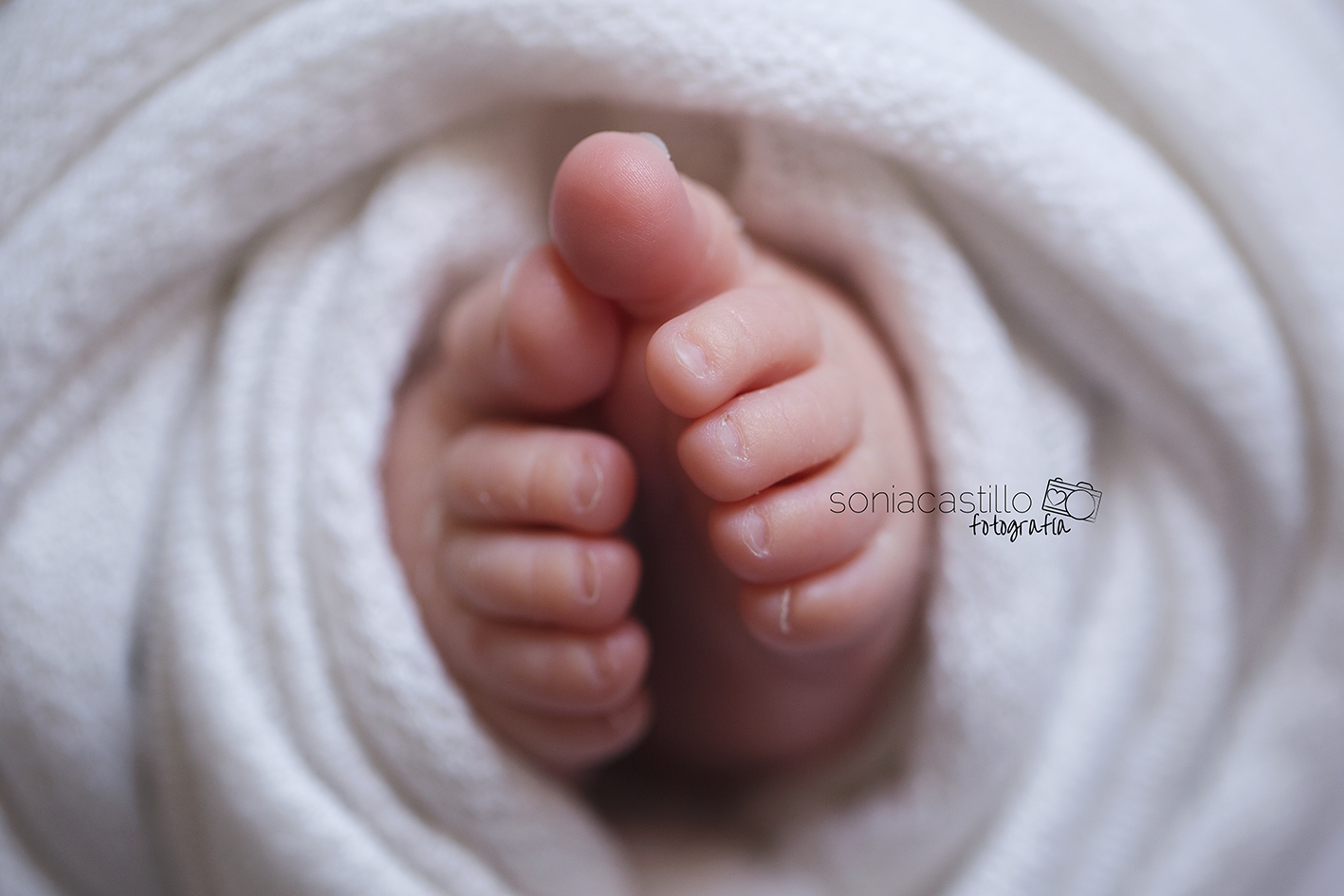 Portafolio Fotos de recién nacidos IMG_3237 