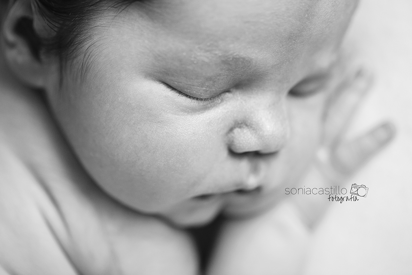 Portafolio Fotos de recién nacidos IMG_3251 
