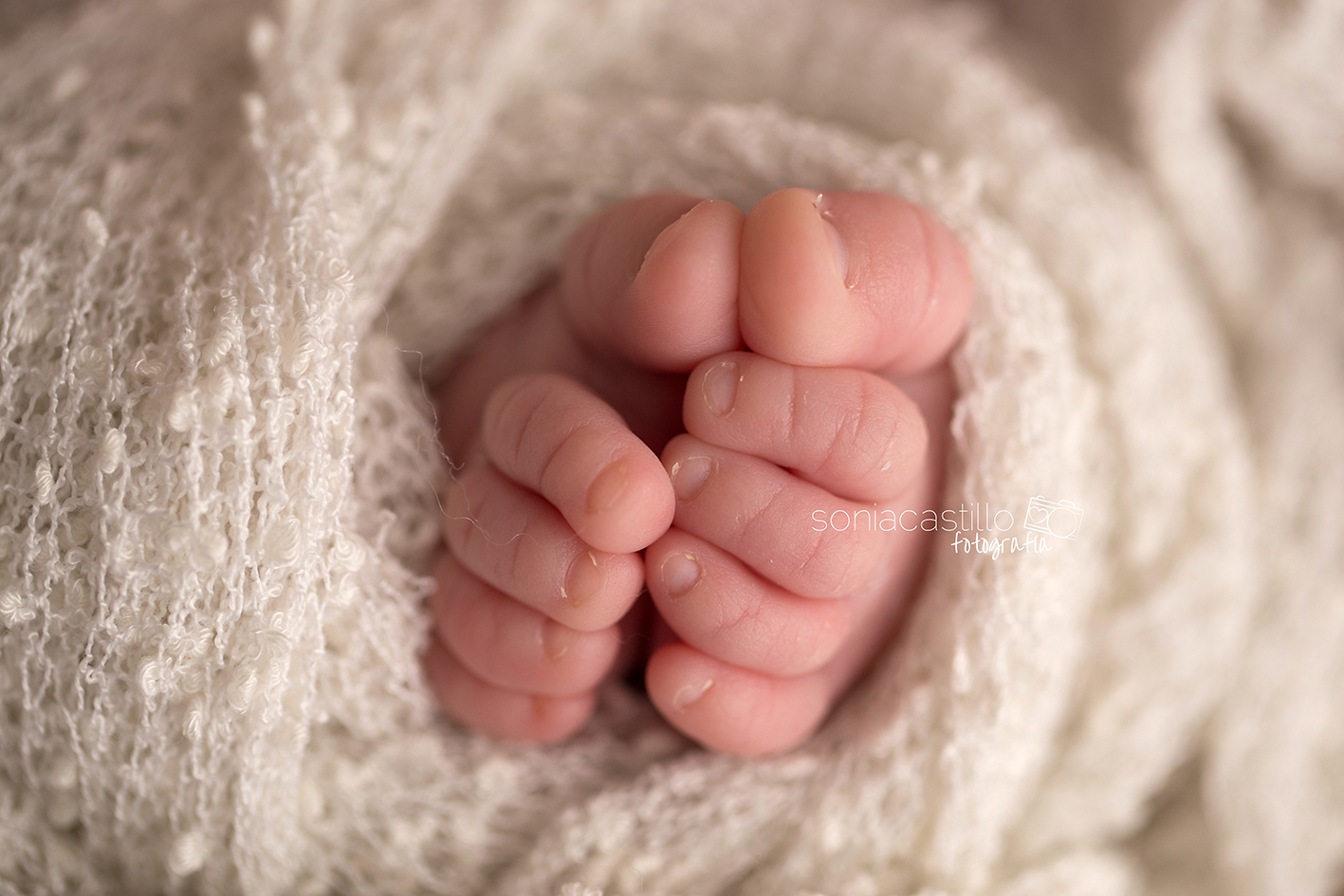 Portafolio Fotos de recién nacidos IMG_2645 