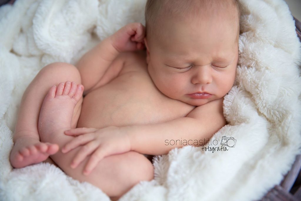 Alexander, 15 días. Fotografía de recién nacidos en Madrid y Guadalajara CO7B7857-1024x683 