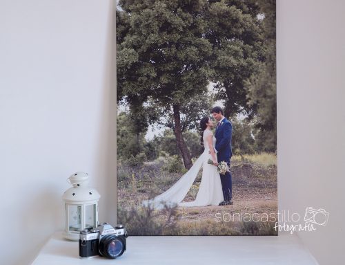 Prueba de producto Saal-Digital