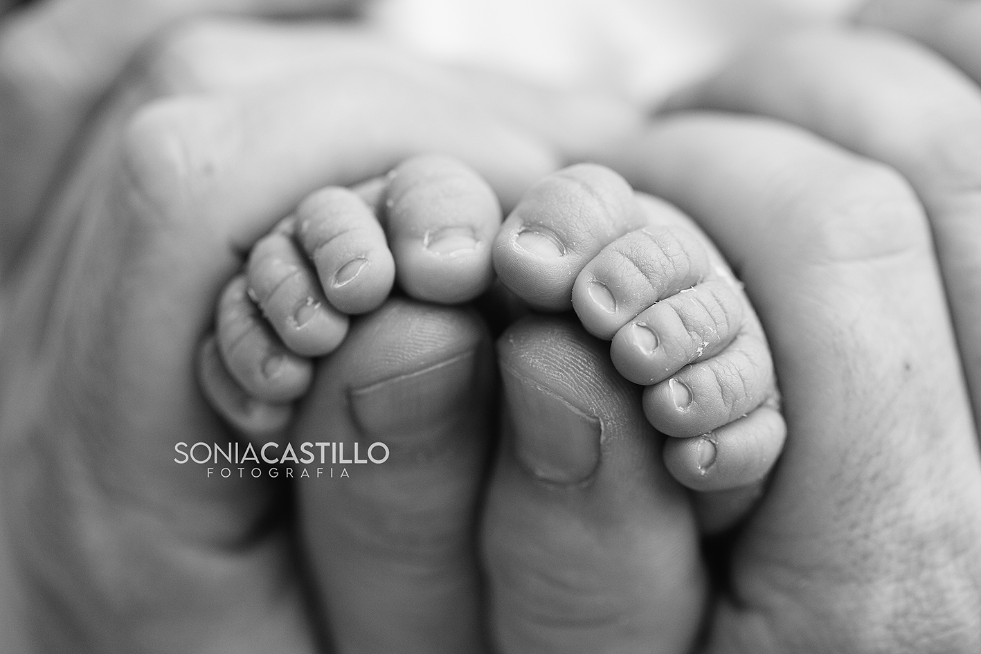 byn-4045 Reserva tu sesión de recién nacido en el embarazo: la clave para garantizar fecha y mejores resultados